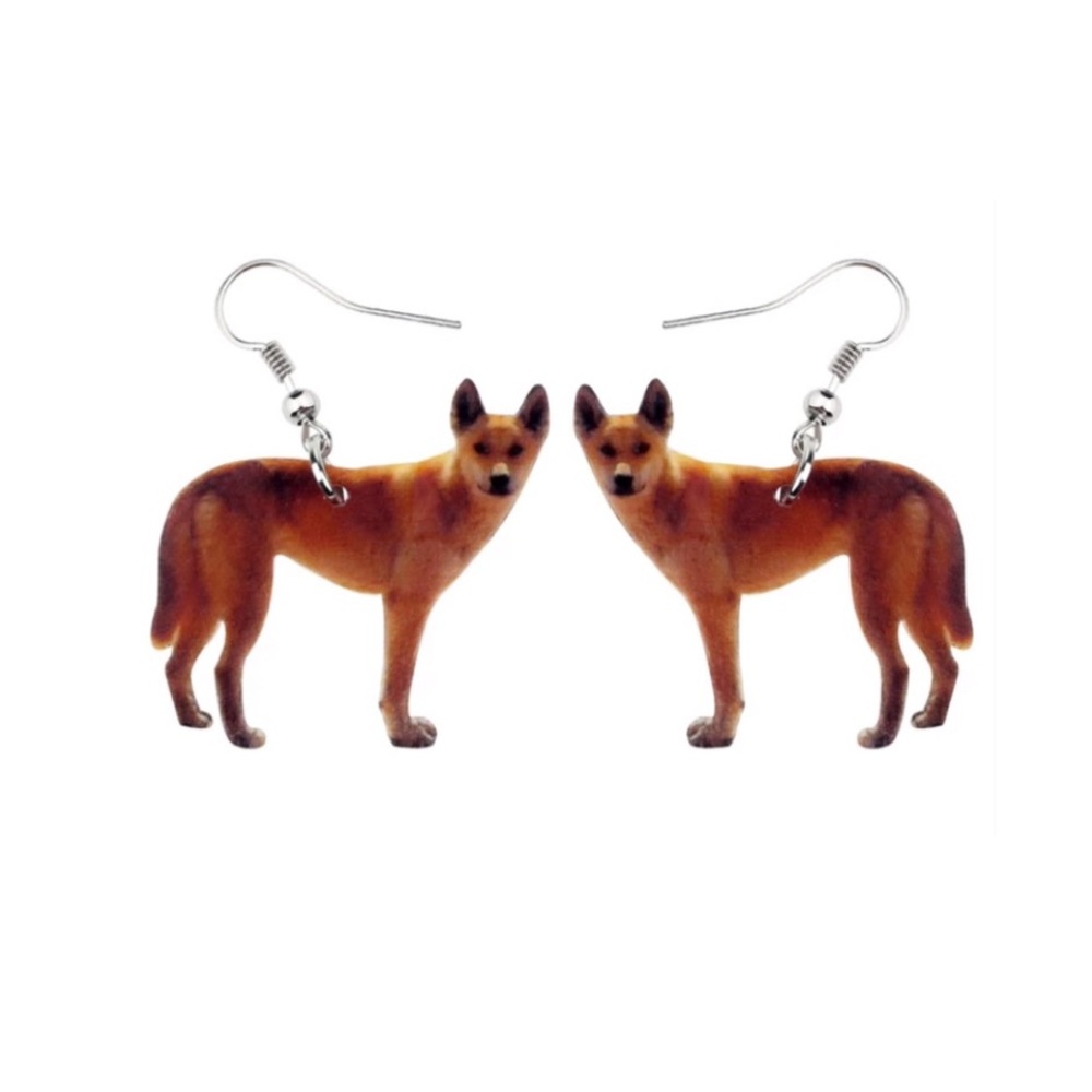 FREE SHIPPING | Double-Sided Acrylic Dangle Earrings NWT